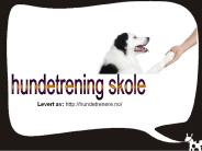 hundetrening