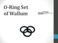 O-Ring Set of Wallum PowerPoint PPT Presentation