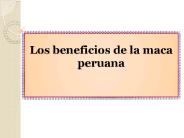 Los beneficios de la maca peruana