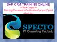 Sap Customer Realationship Management Training Online institute PowerPoint PPT Presentation