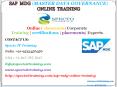 sap mdg online training PowerPoint PPT Presentation