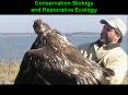 Conservation Biology and Restorative Ecology PowerPoint PPT Presentation