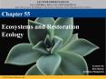 Ecosystems and Restoration Ecology PowerPoint PPT Presentation