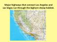 Major highways that connect Los Angeles and Las Vegas run through the bighorn sheep habitat. PowerPoint PPT Presentation