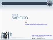 sap fico online training (1)