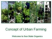 Concept of Urban Farming