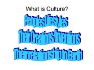 What is Culture?
