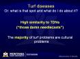 Turf diseases Or: what is that spot and what do I do about it? PowerPoint PPT Presentation