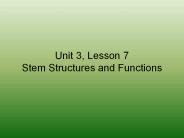 Unit 3, Lesson 7 Stem Structures and Functions