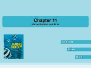 Marine%20Reptiles%20and%20Birds