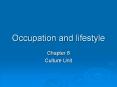 Occupation and lifestyle PowerPoint PPT Presentation