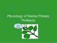 Physiology of Marine Primary Producers PowerPoint PPT Presentation