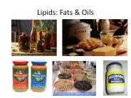Lipids: Fats