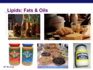 Lipids: Fats