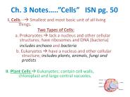 Ch. 3 Notes