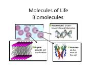Molecules of Life Biomolecules