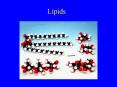 Lipids PowerPoint PPT Presentation