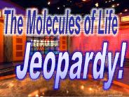 Middle East Jeopardy