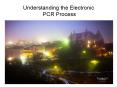 Understanding the Electronic PCR Process PowerPoint PPT Presentation