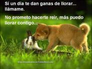 LLAMAME puede ser que lo necesite, llamar, compa