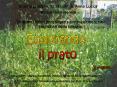 esplorando il prato PowerPoint PPT Presentation