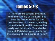 James 5:7-8