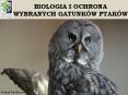 owl PowerPoint Presentation PowerPoint PPT Presentation