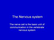 The%20Nervous%20system