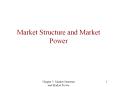 Market Structure and Market Power PowerPoint PPT Presentation