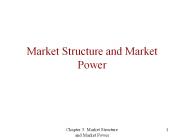 Market Structure and Market Power