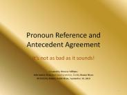 Pronoun Reference and Antecedent Agreement