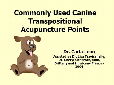 Commonly Used Canine Transpositional Acupuncture Points