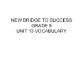 NEW BRIDGE TO SUCCESS GRADE 9 UNIT 13 VOCABULARY PowerPoint PPT Presentation