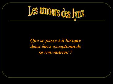 Les amours des lynx