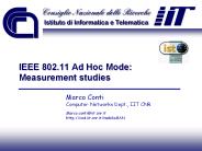IEEE 802.11 Ad Hoc Mode: Measurement studies