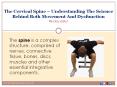 The Cervical Spine – Understanding The Science Behind Both Movement And Dysfunction PowerPoint PPT Presentation