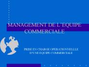 MANAGEMENT DE L