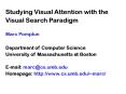 The Selective Tuning Model  of Visual Attention PowerPoint PPT Presentation