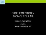 BIOELEMENTOS Y BIOMOL