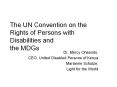The UN Convention on the Rights of Persons with Disabilities and the MDGs PowerPoint PPT Presentation