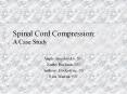 Spinal Cord Compression: A Case Study PowerPoint PPT Presentation