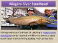 niagara river steelhead PowerPoint PPT Presentation