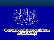 Introduction to public adminsration