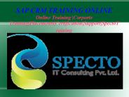 Sap CRM Training Online in USA