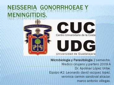 Neisseria gonorrhoeae y meningitidis.