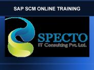 sap scm online training in usa