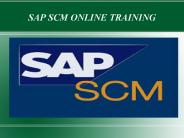 sap scm online training in dubai