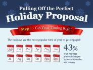 Holiday Proposals