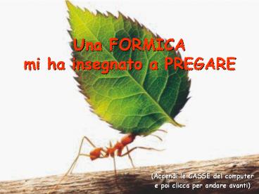 Una FORMICA mi ha insegnato a PREGARE