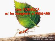 Una FORMICA mi ha insegnato a PREGARE